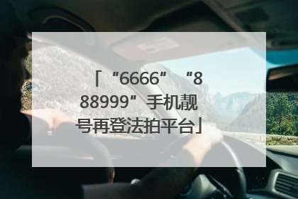 “6666”“888999”手机靓号再登法拍平台