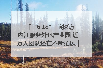 “6·18” 前探访内江服务外包产业园 近万人团队还在不断拓展｜内江东兴“红”在哪⑤