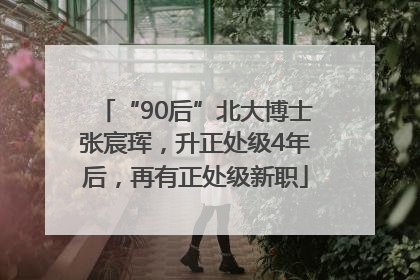 “90后”北大博士张宸珲，升正处级4年后，再有正处级新职