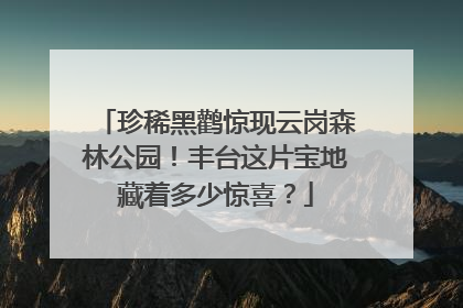 珍稀黑鹳惊现云岗森林公园！丰台这片宝地藏着多少惊喜？
