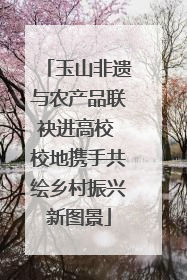 玉山非遗与农产品联袂进高校 校地携手共绘乡村振兴新图景