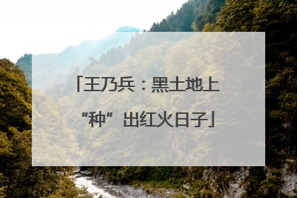 王乃兵：黑土地上“种”出红火日子