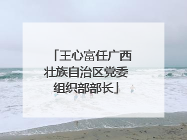 王心富任广西壮族自治区党委组织部部长