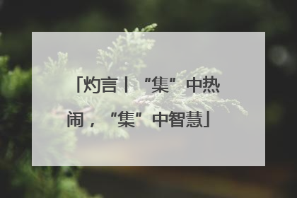 灼言丨“集”中热闹，“集”中智慧