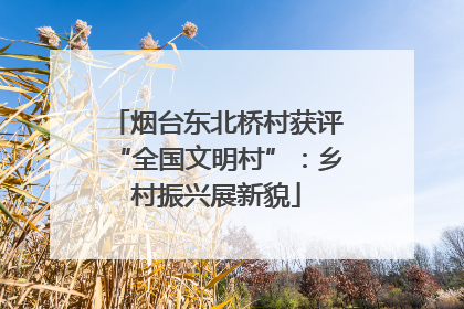 烟台东北桥村获评“全国文明村”：乡村振兴展新貌