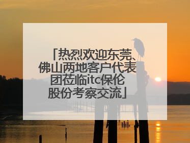 热烈欢迎东莞、佛山两地客户代表团莅临itc保伦股份考察交流