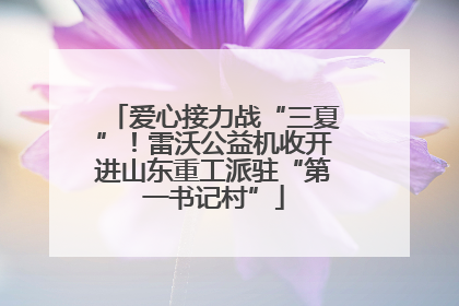 爱心接力战“三夏”！雷沃公益机收开进山东重工派驻“第一书记村”