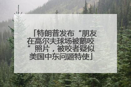 特朗普发布“朋友在高尔夫球场被鹅咬”照片，被咬者疑似美国中东问题特使