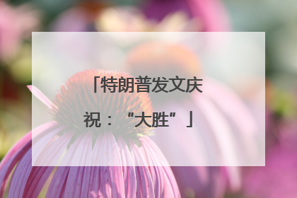 特朗普发文庆祝：“大胜”