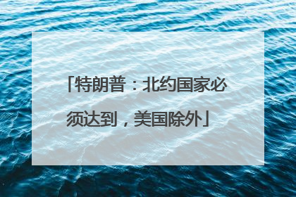 特朗普：北约国家必须达到，美国除外
