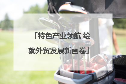 特色产业领航 绘就外贸发展新画卷