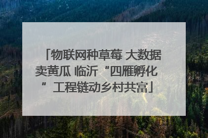 物联网种草莓 大数据卖黄瓜 临沂“四雁孵化”工程链动乡村共富
