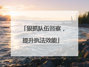 狠抓队伍督察，提升执法效能