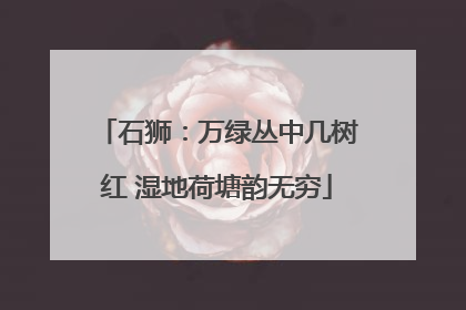 石狮：万绿丛中几树红 湿地荷塘韵无穷