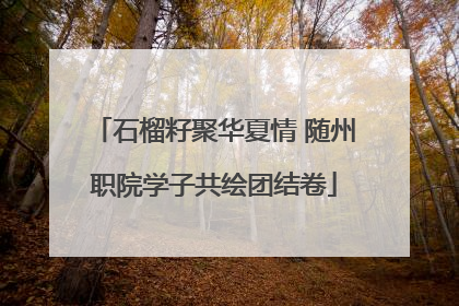 石榴籽聚华夏情 随州职院学子共绘团结卷