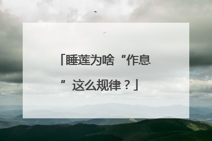睡莲为啥“作息”这么规律？