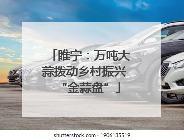 睢宁：万吨大蒜拨动乡村振兴“金蒜盘”
