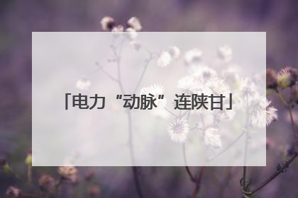 电力“动脉”连陕甘
