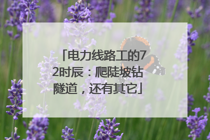 电力线路工的72时辰：爬陡坡钻隧道，还有其它