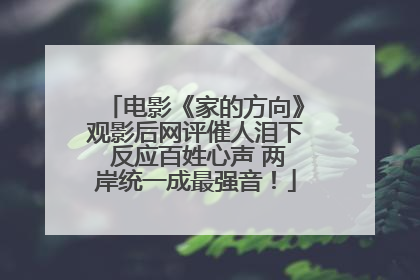 电影《家的方向》观影后网评催人泪下 反应百姓心声 两岸统一成最强音！