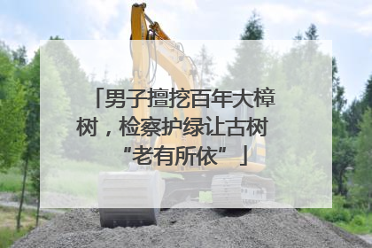 男子擅挖百年大樟树，检察护绿让古树“老有所依”