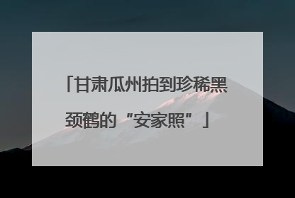 甘肃瓜州拍到珍稀黑颈鹤的“安家照”