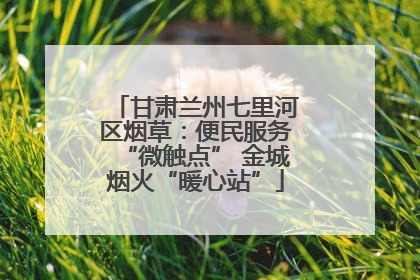 甘肃兰州七里河区烟草：便民服务“微触点” 金城烟火“暖心站”