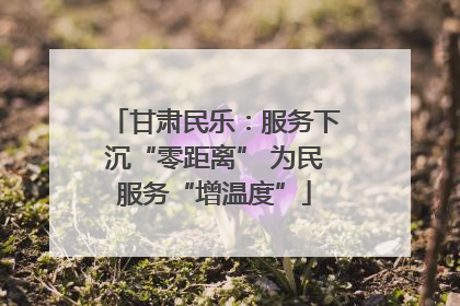 甘肃民乐：服务下沉“零距离” 为民服务“增温度”