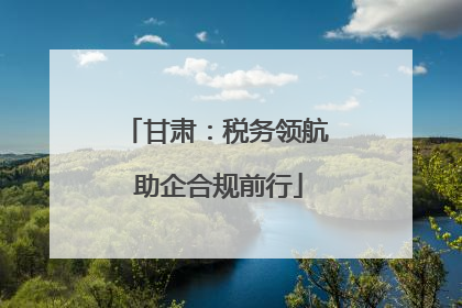 甘肃：税务领航 助企合规前行