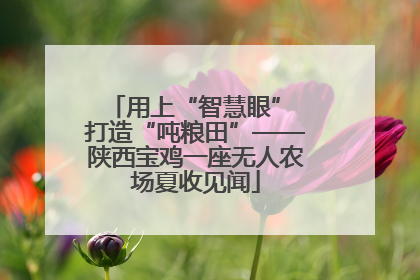 用上“智慧眼” 打造“吨粮田”——陕西宝鸡一座无人农场夏收见闻