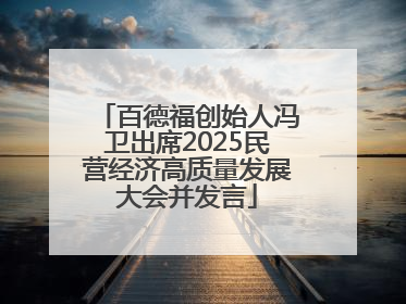 百德福创始人冯卫出席2025民营经济高质量发展大会并发言