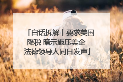 白话拆解丨要求美国降税 暗示施压美企 法德领导人同日发声
