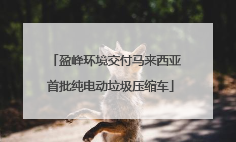 盈峰环境交付马来西亚首批纯电动垃圾压缩车