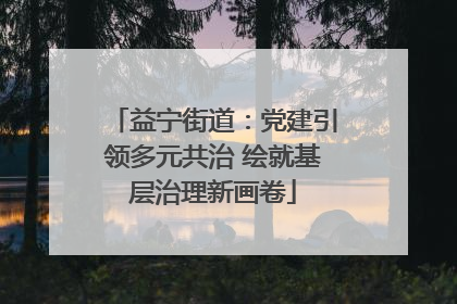 益宁街道：党建引领多元共治 绘就基层治理新画卷