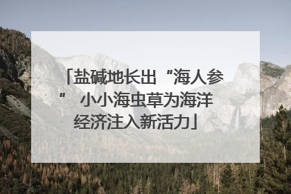 盐碱地长出“海人参” 小小海虫草为海洋经济注入新活力