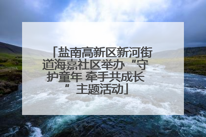 盐南高新区新河街道海嘉社区举办“守护童年 牵手共成长”主题活动