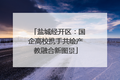 盐城经开区：国企高校携手共绘产教融合新图景
