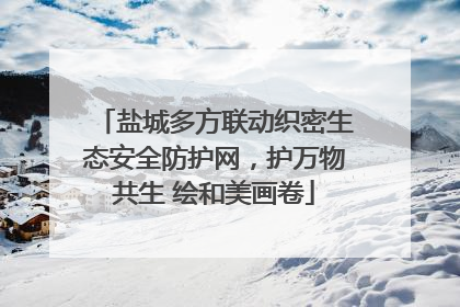 盐城多方联动织密生态安全防护网，护万物共生 绘和美画卷