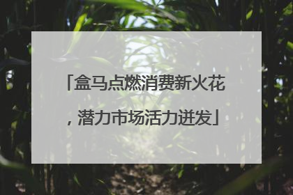 盒马点燃消费新火花，潜力市场活力迸发