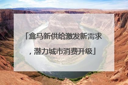 盒马新供给激发新需求，潜力城市消费升级