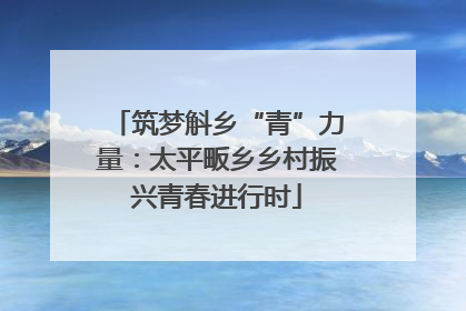 筑梦斛乡“青”力量：太平畈乡乡村振兴青春进行时