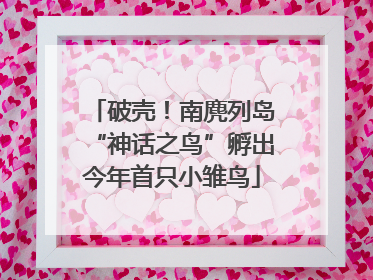 破壳！南麂列岛“神话之鸟”孵出今年首只小雏鸟