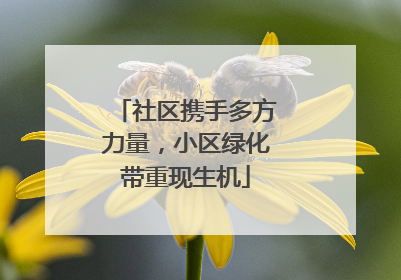 社区携手多方力量，小区绿化带重现生机