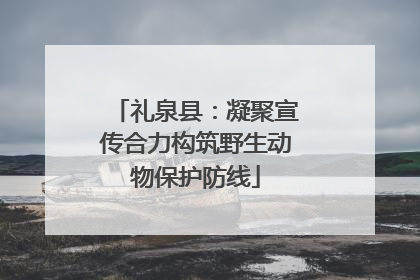 礼泉县：凝聚宣传合力构筑野生动物保护防线
