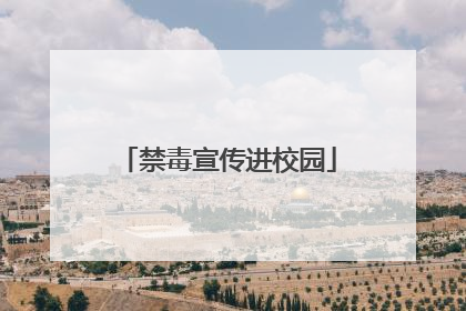 禁毒宣传进校园