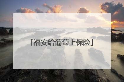 福安给葡萄上保险
