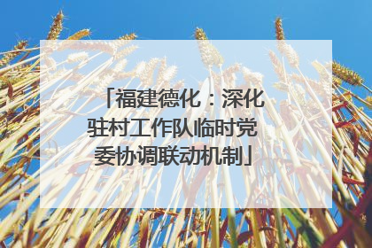 福建德化：深化驻村工作队临时党委协调联动机制