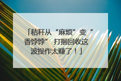 秸秆从“麻烦”变“香饽饽” 打捆回收这波操作太赚了！