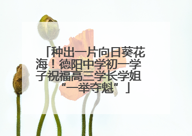 种出一片向日葵花海！德阳中学初一学子祝福高三学长学姐“一举夺魁”