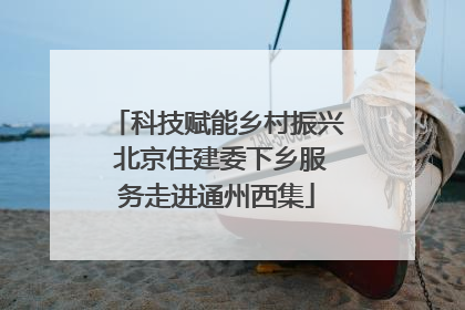 科技赋能乡村振兴 北京住建委下乡服务走进通州西集